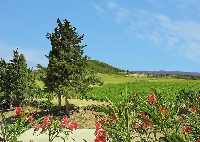 Blissful In Mandourelle * Villeseque-des-Corbieres